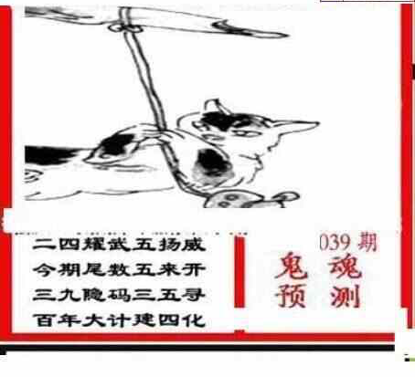 25039期: 三毛3D精品图谜