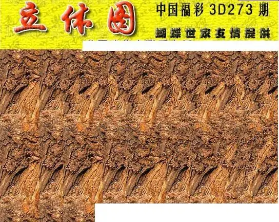 25273期: 3D蝴蝶世家蝴蝶彩图