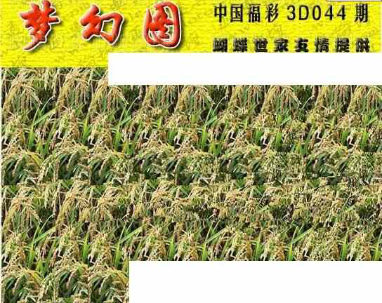 25044期: 3D蝴蝶世家蝴蝶彩图