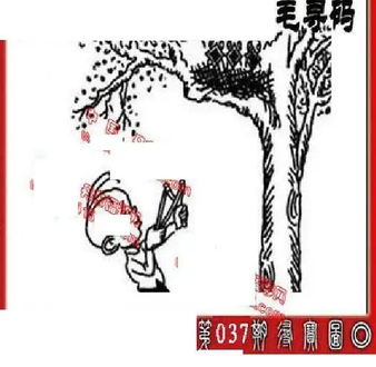 26037期: 福彩3D丹东全图分析