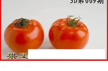 26009期: 白老3D杀码图版