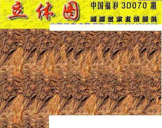 24070期: 3D蝴蝶世家蝴蝶彩图