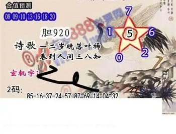 25316期: 白老3D杀码图版