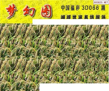 26066期: 3D蝴蝶世家蝴蝶彩图