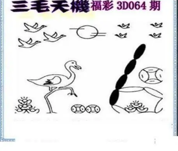 26064期: 三毛3D精品图谜