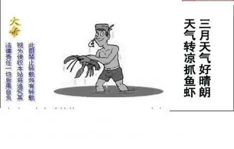 25113期: 白老3D杀码图版