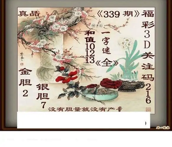 25339期: 白老3D杀码图版