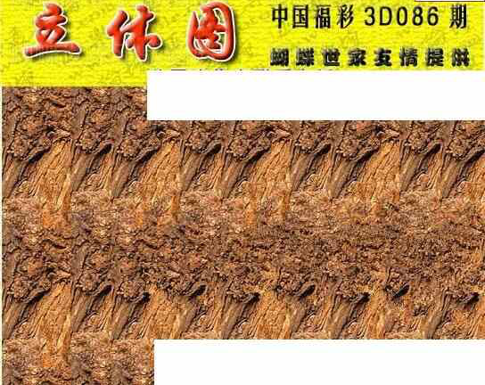 24086期: 3D蝴蝶世家蝴蝶彩图