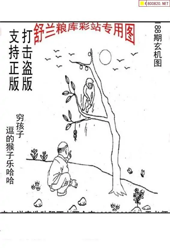 25188期: 老村长福彩3D天天图谜