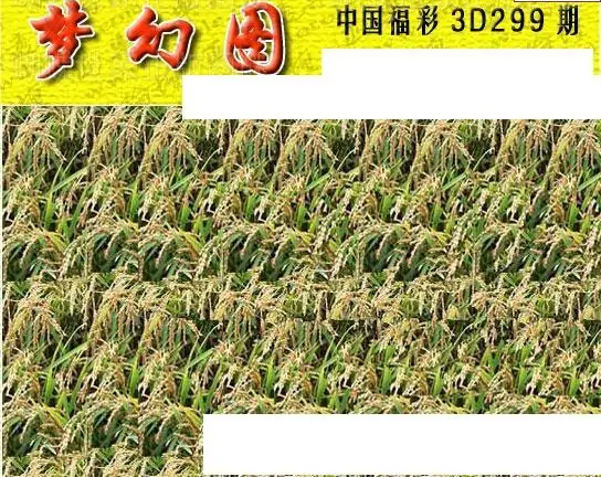 25299期: 3D蝴蝶世家蝴蝶彩图