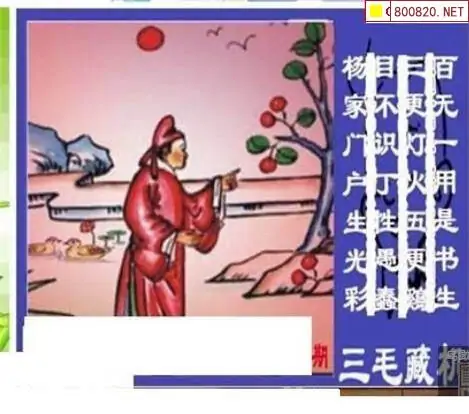 25172期: 三毛3D精品图谜