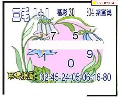 25204期: 三毛3D精品图谜
