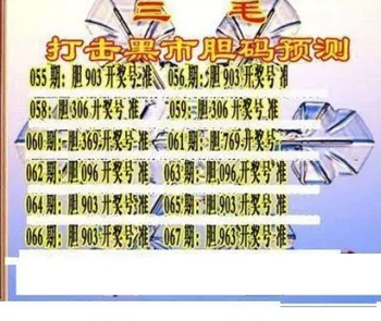 26067期: 三毛3D精品图谜