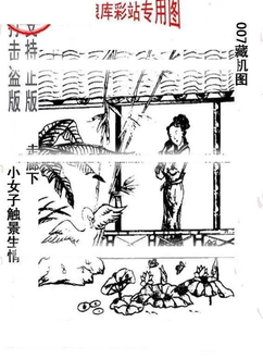 26007期: 老村长福彩3D天天图谜