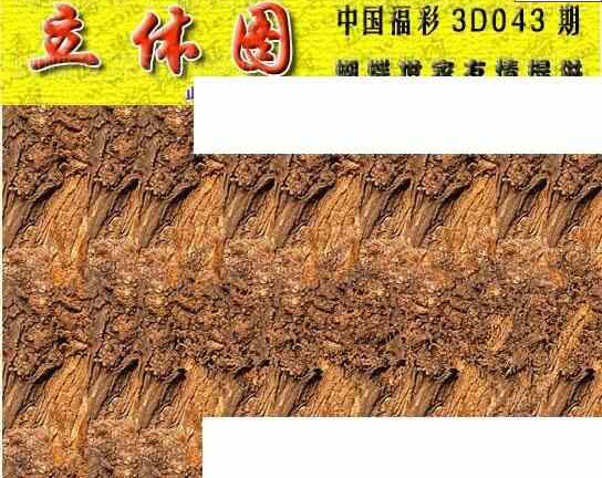 25043期: 3D蝴蝶世家蝴蝶彩图