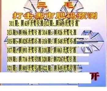 25322期: 三毛3D精品图谜