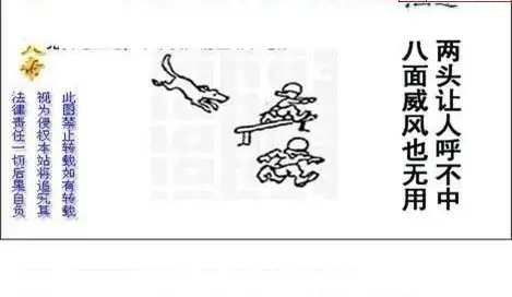 25280期: 白老3D杀码图版