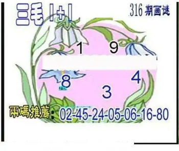 25316期: 三毛3D精品图谜