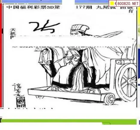 25177期: 三毛3D精品图谜