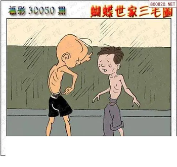 26050期: 3D蝴蝶世家蝴蝶彩图