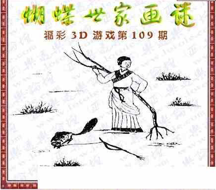 24109期: 3D蝴蝶世家蝴蝶彩图