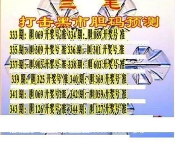 25344期: 三毛3D精品图谜