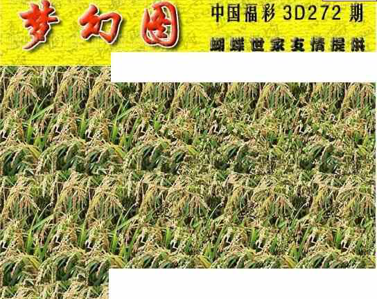 24272期: 3D蝴蝶世家蝴蝶彩图