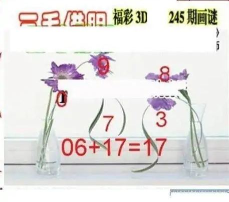 25245期: 三毛3D精品图谜
