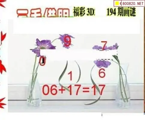 25194期: 三毛3D精品图谜