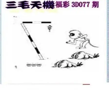 26077期: 三毛3D精品图谜