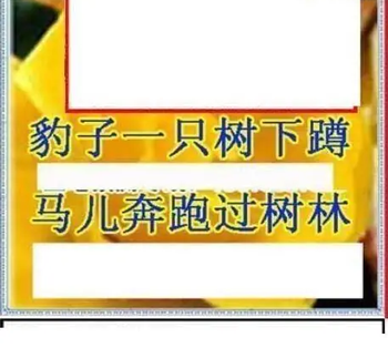 26049期: 三毛3D精品图谜