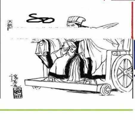 24093期: 三毛3D精品图谜