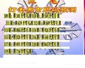 25319期: 三毛3D精品图谜