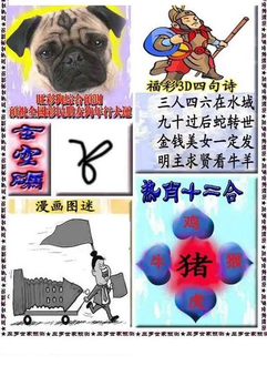 福彩3D 26096期佐罗图一掌经预测图