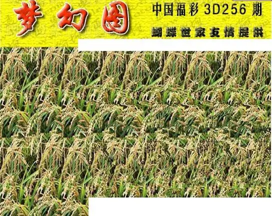25256期: 3D蝴蝶世家蝴蝶彩图
