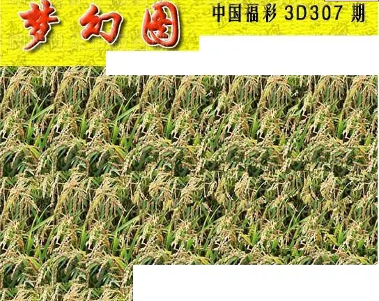 25307期: 3D蝴蝶世家蝴蝶彩图