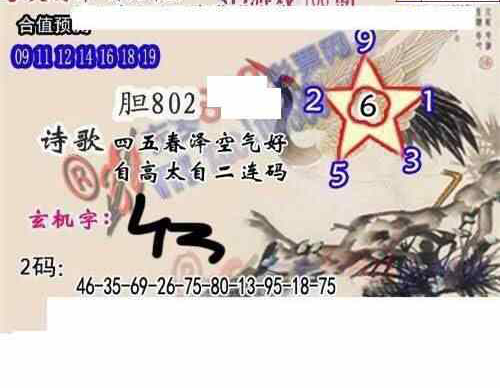 24106期: 白老3D杀码图版