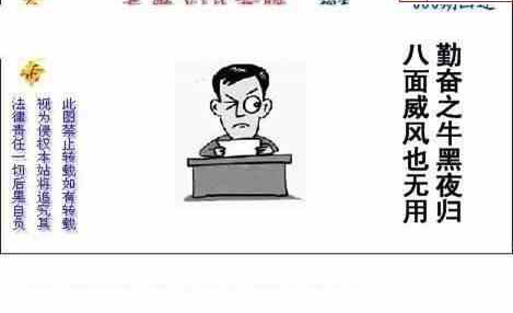 24080期: 白老3D杀码图版