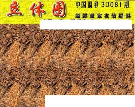 25081期: 3D蝴蝶世家蝴蝶彩图