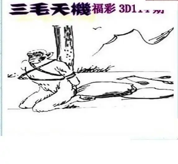 25114期: 三毛3D精品图谜