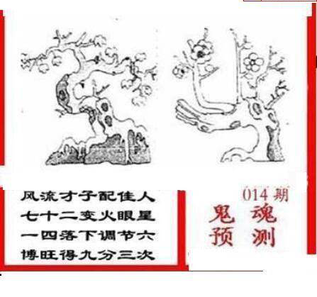 25014期: 三毛3D精品图谜