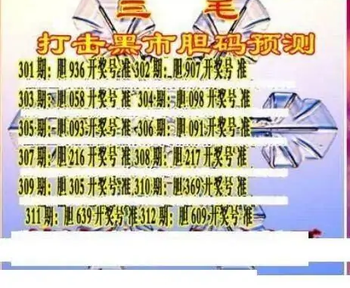25312期: 三毛3D精品图谜