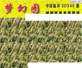 25345期: 3D蝴蝶世家蝴蝶彩图