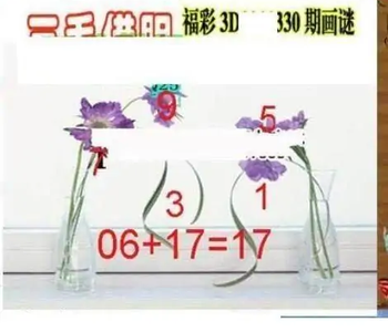 25330期: 三毛3D精品图谜