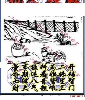 26011期: 三毛3D精品图谜