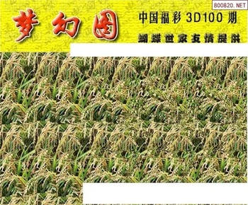 26100期: 3D蝴蝶世家蝴蝶彩图