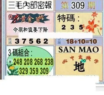 25309期: 三毛3D精品图谜