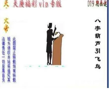 26019期: 三毛3D精品图谜