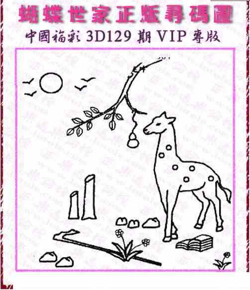 24129期: 3D蝴蝶世家蝴蝶彩图