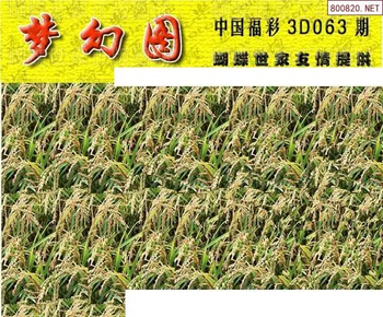 26063期: 3D蝴蝶世家蝴蝶彩图